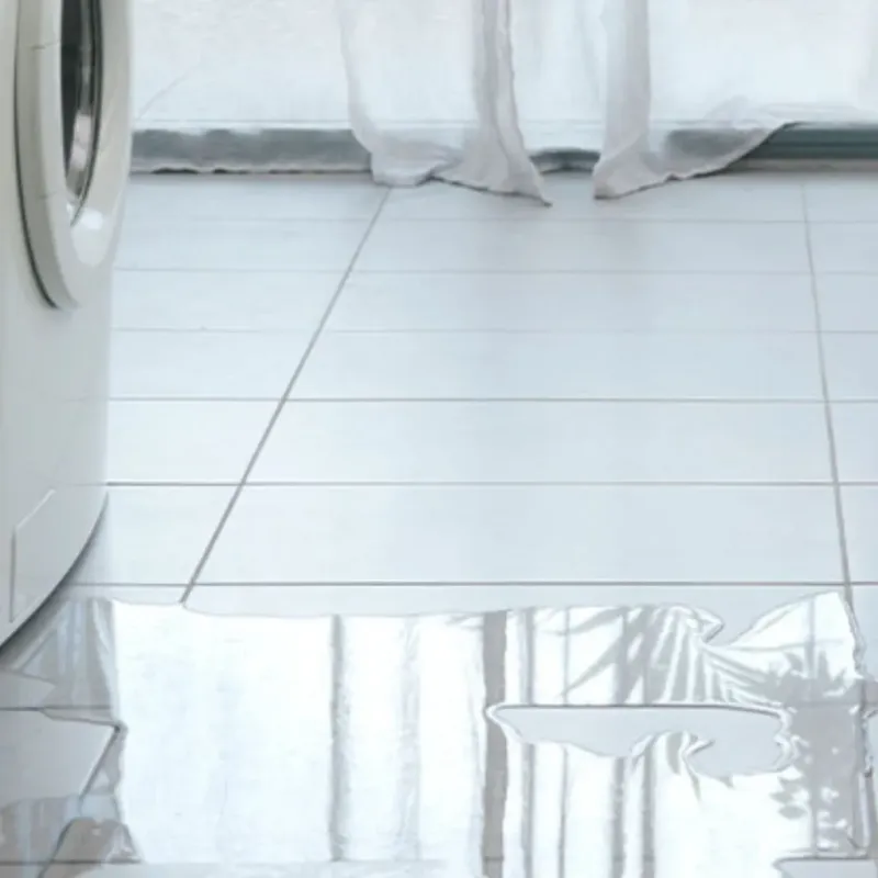 Appliance Leak Cleanup in Ranlo, NC