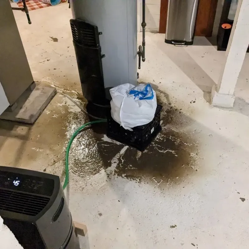 Sewage Backup Cleanup Service in Ranlo, NC
